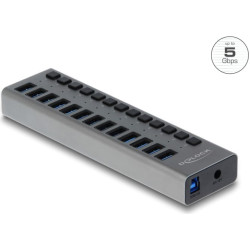Delock External SuperSpeed USB Hub with 13 Ports + Switch