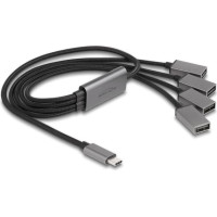 Delock 4 Port USB 2.0 Cable Hub with USB Type-C™ connector 60 cm