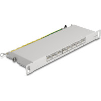 Delock 10″ Patch Panel 8 port Cat.6A 0.5U grey