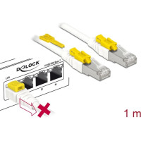Delock Cable RJ45 Secure Cat.6A 1 m
