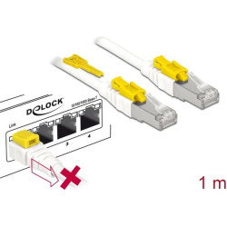 Delock Cable RJ45 Secure Cat.6A 1 m