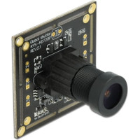 Delock USB 2.0 Camera Module with Global Shutter black / white 0.92 mega pixel 36° V6 fix focus
