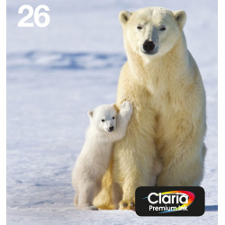 Epson Polar bear Multipack 4-colours 26 EasyMail