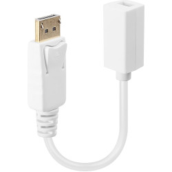 Lindy DisplayPort an Mini-DisplayPort Adapterkabel M/F 0.15m