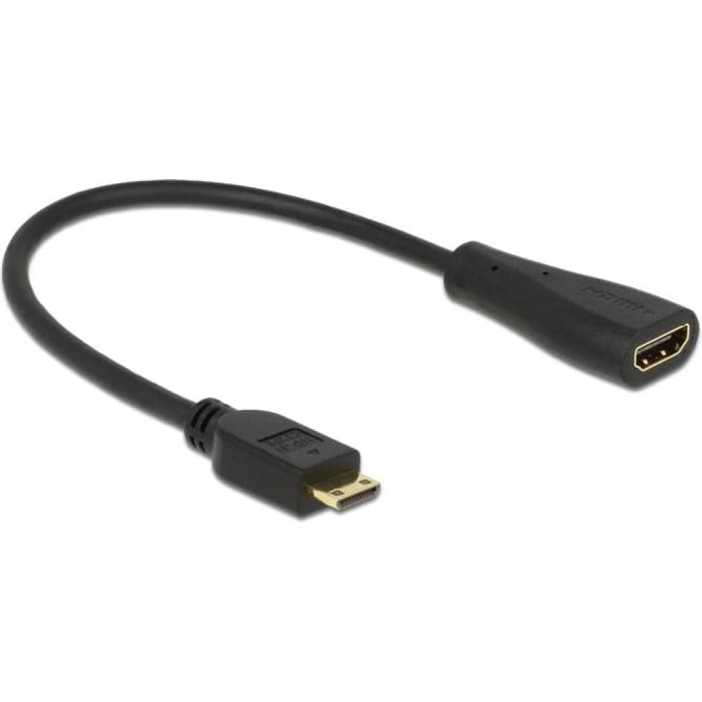 Delock Cable High Speed HDMI with Ethernet - mini C male  A female