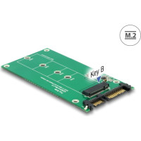 Delock Converter SATA 22 Pin > M.2