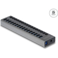 Delock External USB 5 Gbps Hub with 16 Ports + Switch