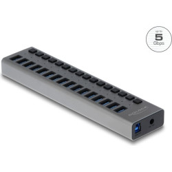 Delock External USB 5 Gbps Hub with 16 Ports + Switch