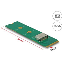 Delock M.2 Key M to 1 x OCuLink SFF-8612 Converter