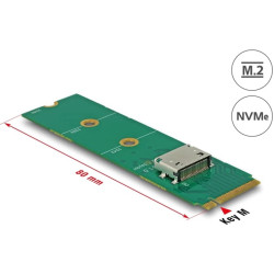 Delock M.2 Key M to 1 x OCuLink SFF-8612 Converter