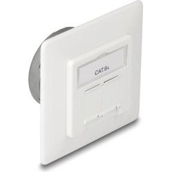 Delock Modular Wall Outlet flush mount 2 Port Cat.6A LSA