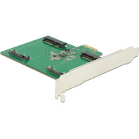 Delock PCI Express x1 Card > 2 x internal mSATA