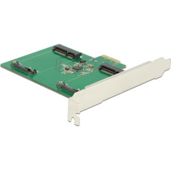 Delock PCI Express x1 Card > 2 x internal mSATA