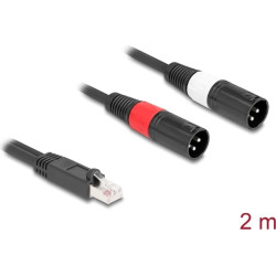 Delock Adapter Cable RJ45 plug to 2 x XLR 3 pin plug black 2 m