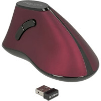 Delock Ergonomic vertical optical 5-button mouse 2.4 GHz wireless