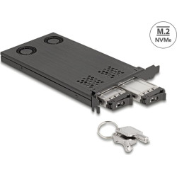 Delock PCI Express x16 Card Mobile Rack for 2 x M.2 NVMe SSD - Bifurcation