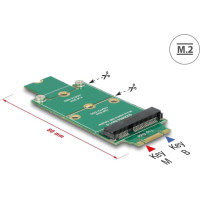 Delock Adapter M.2 > mSATA