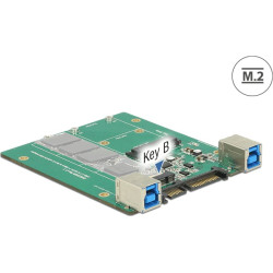 Delock Converter SATA / USB 3.1 Type-B female > M.2 / mSATA Slot