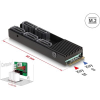 Delock Converter M.2 2280 Key B+M male to 5 x SATA with heat sink