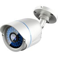 Level One LevelOne ACS-5602 drošības/tīkla kamera Lode (forma) CCTV drošības kamera Ārējie Pie griestiem/sienas