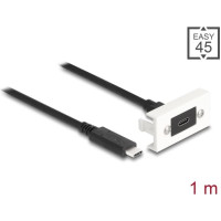 Delock Easy 45 Module SuperSpeed USB 10 Gbps (USB 3.2 Gen 2) USB Type-C™ female to USB Type-C™ male with pigtail, 22,5 x 45 mm