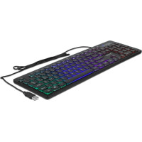 Delock USB Keyboard wired 1.5 m black with RGB Illumination
