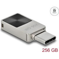 Delock Mini USB 5 Gbps USB-C™ Memory Stick 256 GB - Metal Housing