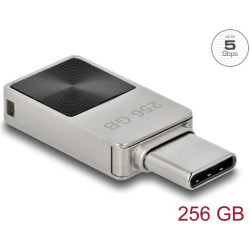 Delock Mini USB 5 Gbps USB-C™ Memory Stick 256 GB - Metal Housing