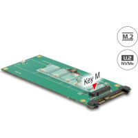 Delock Converter U.2 SFF-8639 NVMe > 1 x M.2 Key M