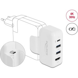 Delock Adapter for Apple power supply with PD and HDMI 4K