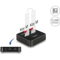 Delock M.2 Docking Station for 2 x M.2 SATA SSD with Clone function