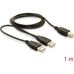 Delock Cable USB 2.0-B > USB-A power + power/data