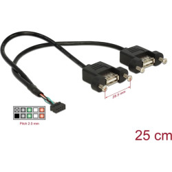 Delock Cable USB 2.0 pin header female 2.00 mm 10 pin > 2 x USB 2.0 Type-A female panel-mount 25 cm