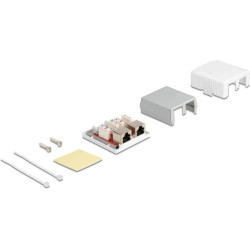 Delock Network Wall Outlet 2 Port Cat.6A LSA
