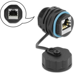 Delock Cable Connector RJ45 jack to RJ45 jack Cat.6A with protective cap waterproof