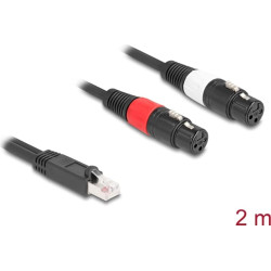 Delock Adapter Cable RJ45 plug to 2 x XLR 3 pin jack black 2 m