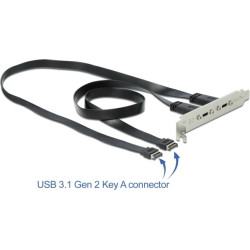 Delock USB 3.1 Gen 2 Slot Bracket with 2 x USB Type-C™ Ports