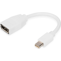 Digitus DisplayPort adapter cable, mini DP - DP
