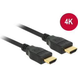 Delock Cable High Speed HDMI with Ethernet HDMI A male > HDMI A male 3D 4K 2 m