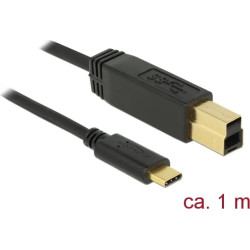 Delock USB 3.1 Gen 2 (10 Gbps) cable Type-C to Type-B 1 m