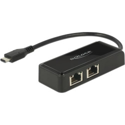 Delock Adapter SuperSpeed USB (USB 3.1 Gen 1) with USB Type-C™ male > 2 x Gigabit LAN 10/100/1000 Mbps