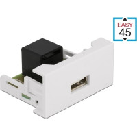 Delock Easy 45 Module USB 2.0 Type-A female to RJ45 female port 22.5 x 45 mm