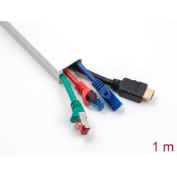 Delock Cable Duct with Cover self-adhesive 57 x 28 mm - length 1 m white