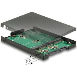 Delock 2.5 Converter SATA 22 Pin  2 x mSATA with RAID