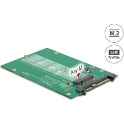 Delock Converter U.2 SFF-8639 - M.2 NGFF NVMe Key M