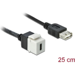 Delock Keystone Module USB 2.0 C female > USB 2.0 A female with cable