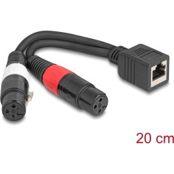 Delock Adapter Cable RJ45 jack to 2 x XLR 3 pin jack black 20 cm