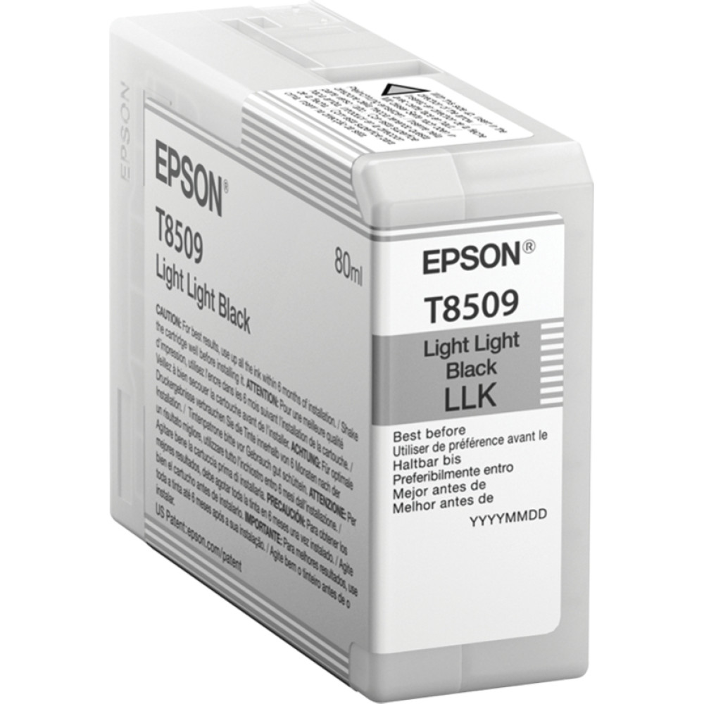 Epson Singlepack Light Light Black T850900