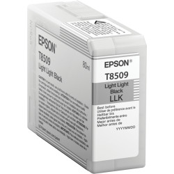 Epson Singlepack Light Light Black T850900
