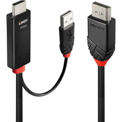 Lindy 1m HDMI to DisplayPort Cable